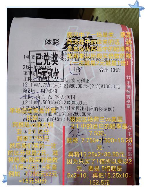 世界杯竞彩攻略：如何在盈利与止损之间找到最佳平衡点？